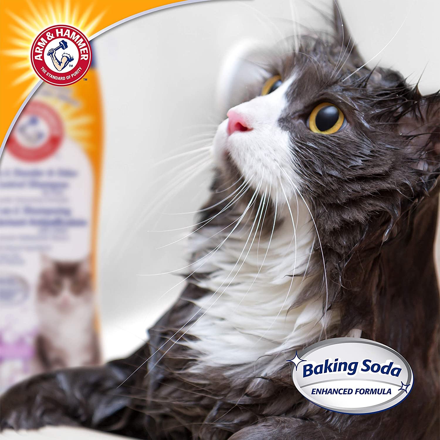 2-In-1 Deodorizing & Dander Reducing Shampoo for Cats, Baking Soda Cat Shampoo for Dander, Odor Control and Coat Cleaning, Lavender Chamomile Scent, 20 Fl Oz